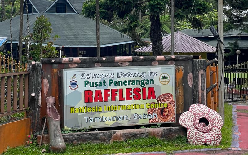 Tambunan Rafflesia Information Centre: Cara Paling Mudah Melihat Bunga Terbesar Dunia di Sabah
