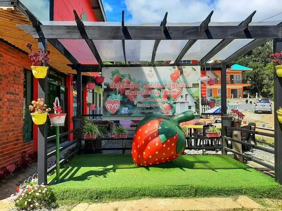 Mesilou Highland Strawberry Farm: A Sweet Escape in the Highlands of Kundasang